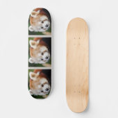 Schattig dier Rode Panda Skateboard (Voorkant)