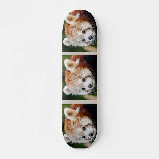 Schattig dier Rode Panda Skateboard (Voorkant)