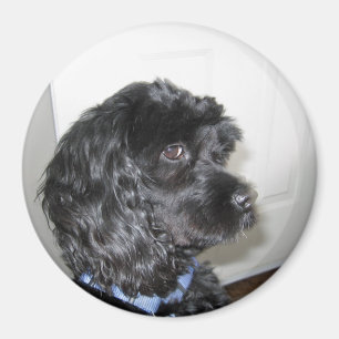 Schattig Dog Magnet Magneet