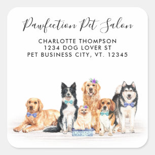 Schattig Dogs Pet Groomer Business Return-adres Vierkante Sticker