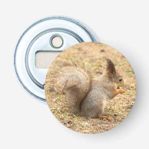 Schattig eekhoorn eet een noot foto button flesopener