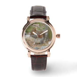 Schattig Eekhoorn horloge
