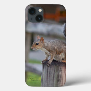 Schattig eekhoorn iPhone 6 Hoesje