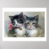 Schattig en schattig, Schattige kittens, Poster (Voorkant)