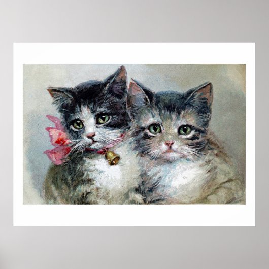 Schattig en schattig, Schattige kittens, Poster (Voorkant)