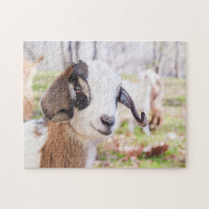 Schattig en vun Baby Geitel Jigzaag Puzzle Legpuzzel