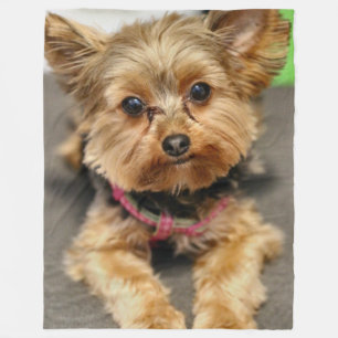 Schattig Fleece Deken