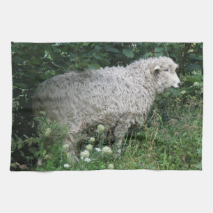 Schattig Gierig Schaap Eet Keukenhanddoek
