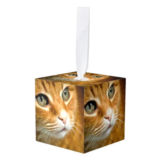 Schattig Ginger Tabby Cat Posing Pet Portret Kubus Ornament (Voorkant hoekig)