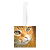 Schattig Ginger Tabby Cat Posing Pet Portret Kubus Ornament (Voorkant)