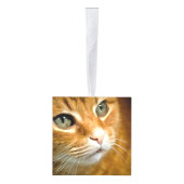 Schattig Ginger Tabby Cat Posing Pet Portret Kubus Ornament (Rechts)