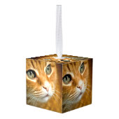 Schattig Ginger Tabby Cat Posing Pet Portret Kubus Ornament (Achter hoekig)