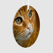 Schattig Ginger Tabby Cat Posing Pet Portret Ornament (voorkant)