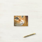 Schattig Ginger Tabby Cat Posing Pet Portret Post-it® Notes (Op bureau)
