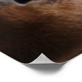 Schattig girafergezicht poster (Hoek)