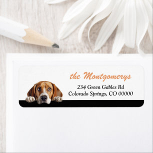 Schattig glurend Beagle-hond retouradres Etiket