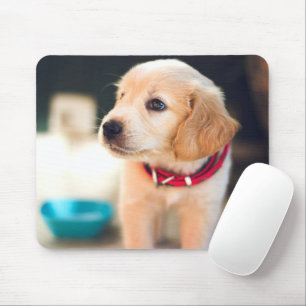 Schattig Golden Retriver Puppy Muismat