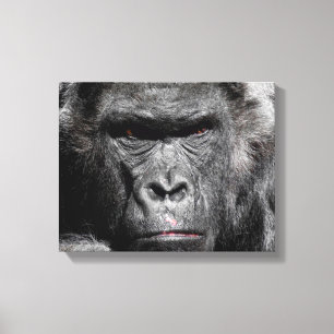 Schattig Gorilla Gezicht Staart Intens Ingepakt Ca Canvas Afdruk