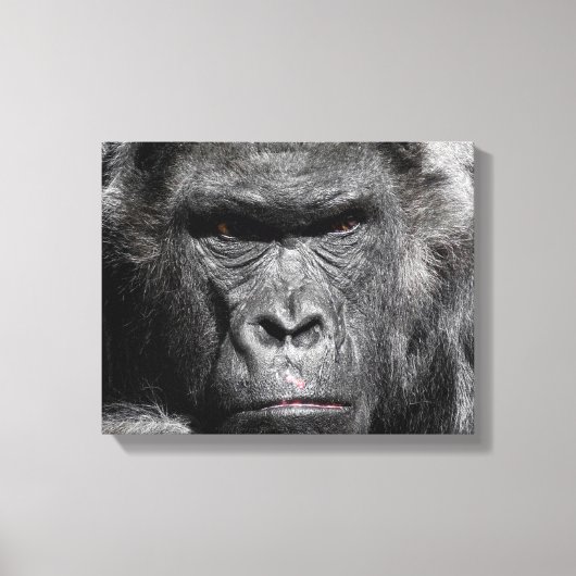 Schattig Gorilla Gezicht Staart Intens Ingepakt Ca Canvas Afdruk (Voorkant)