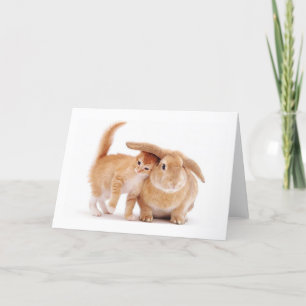 schattig_grapp_dieren_8 kitten konijnenkonijnenvri kaart