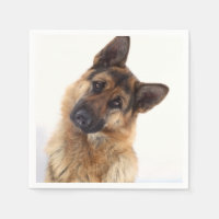 Schattig grappig duits herder portret