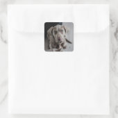 Schattig grijs lab puppy dog Sticker (Tas)