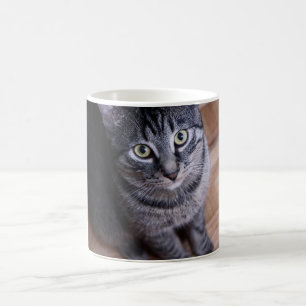 Schattig grijze kat koffiemok