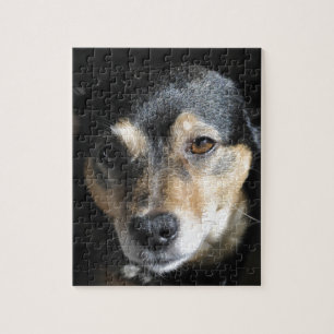 Schattig Hondje Poseert voor de Camera Legpuzzel