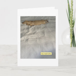 Schattig Ik Was Bezig Dachshund Kaart