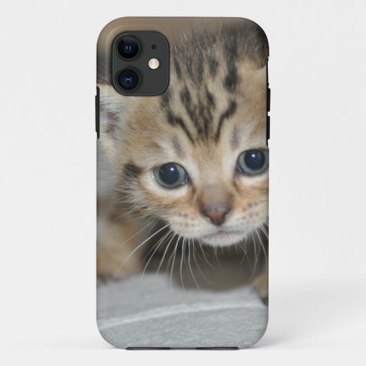 Schattig Jong Kittens Case-Mate iPhone Case (Achterkant)