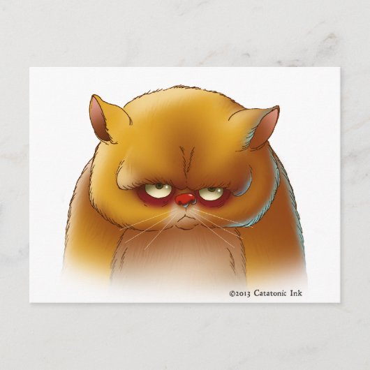 Schattig Kat Briefkaart (Voorkant)