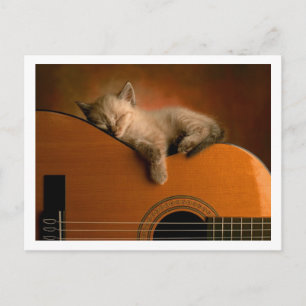 schattig kat briefkaart