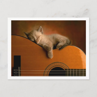schattig kat briefkaart