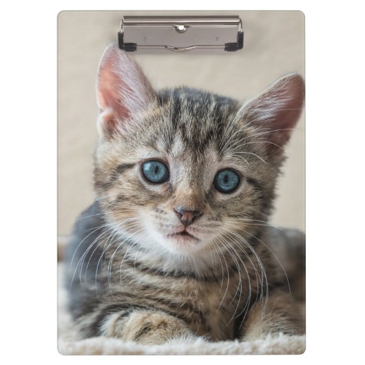 Schattig Kat Gezicht Klembord (Voorkant)