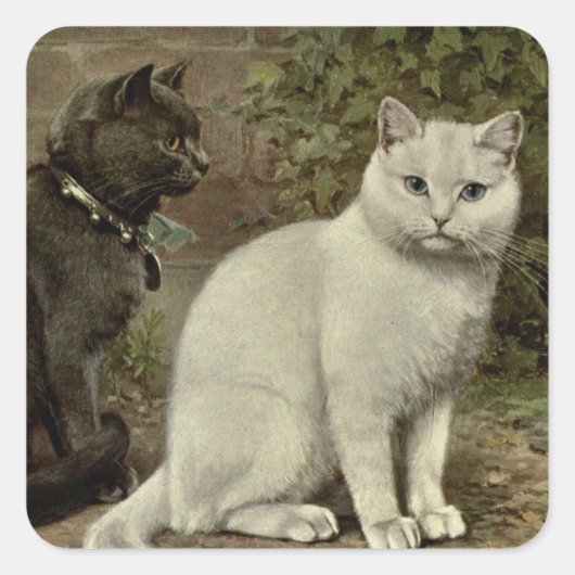 schattig  kattenliefhebbers Vierkante Sticker (Voorkant)
