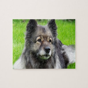 Schattig Keeshond Legpuzzel