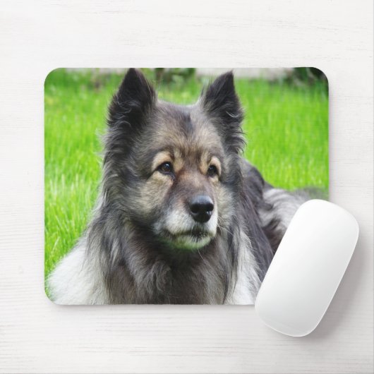 Schattig Keeshond Muismat (Met muis)