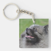 Schattig Keeshond Sleutelhanger (voorkant)