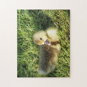 schattig kind in het gras ganzen legpuzzel