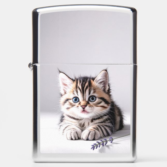 Schattig Kitten (Voorkant)