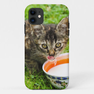 Schattig kitten dat uit een kom drinkt iPhone 11 hoesje