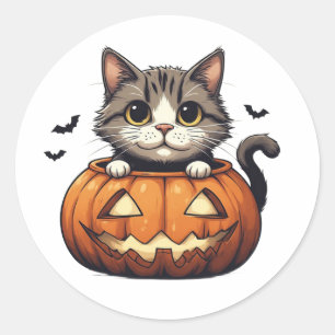 Schattig Kitten In Jack O Lantern Thema 🎃 Ronde Sticker
