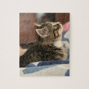 Schattig Kitten Laat deze foto staan of voeg je Legpuzzel