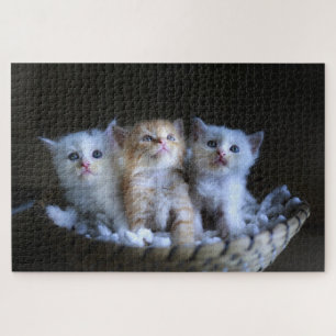 Schattig Kitten Legpuzzel