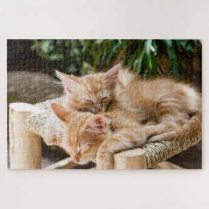 Schattig Kitten Legpuzzel