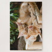 Schattig Kitten Legpuzzel (Verticaal)