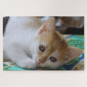Schattig Kitten Legpuzzel