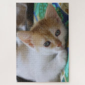 Schattig Kitten Legpuzzel (Verticaal)