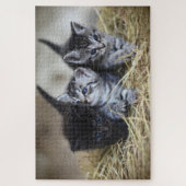 Schattig Kitten Legpuzzel (Verticaal)
