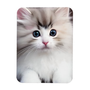 Schattig Kitten Magneet